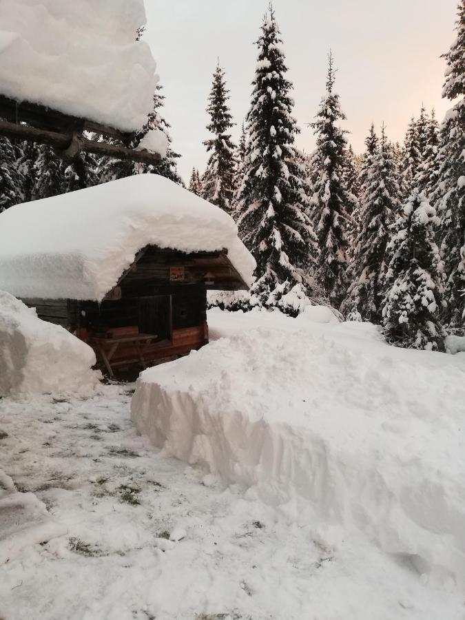 Brunarica Na Goreljeku Bohinj Exterior foto